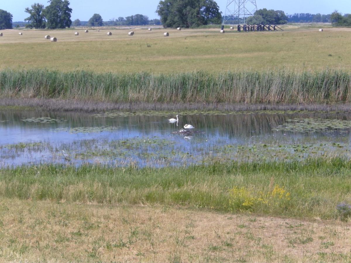 An Der Havel * Хафельберг